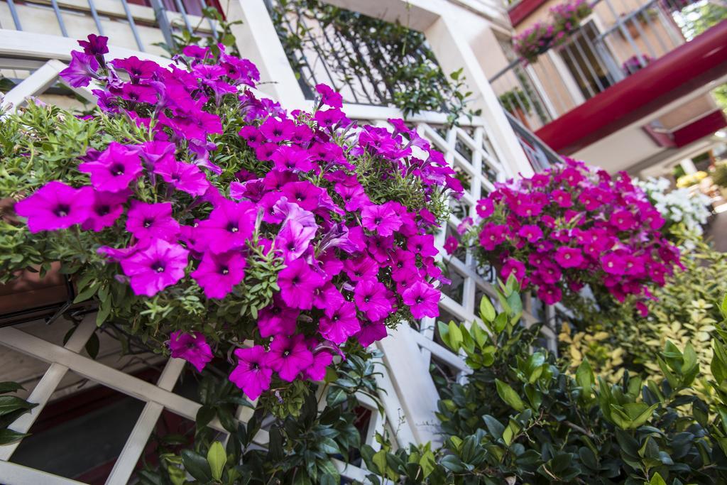Hotel Sofia Lido di Jesolo Dış mekan fotoğraf